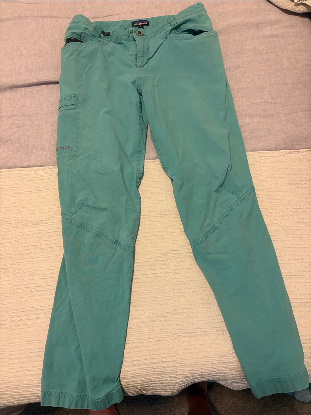 Patagonia Teal Outdoor Hiking Pants